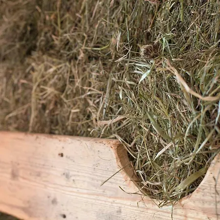 Alpehytte Maso Del Fieno Con Sauna Privata E Vista Unica